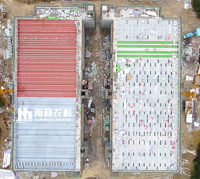 南商農(nóng)科：貴州遵義高樓養(yǎng)殖規(guī)模14400頭母豬場(chǎng)