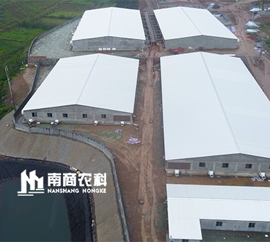 南商農科：湖北廣水規模1200頭母豬場