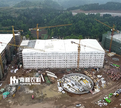 南商農(nóng)科：四川射洪高樓養(yǎng)殖規(guī)模21600頭母豬場(chǎng)