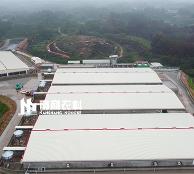 南商農科：廣西平南規模9000頭育肥豬場