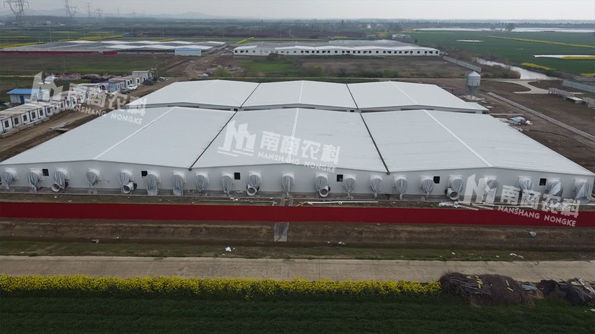 江蘇常州70000頭育肥場(chǎng)