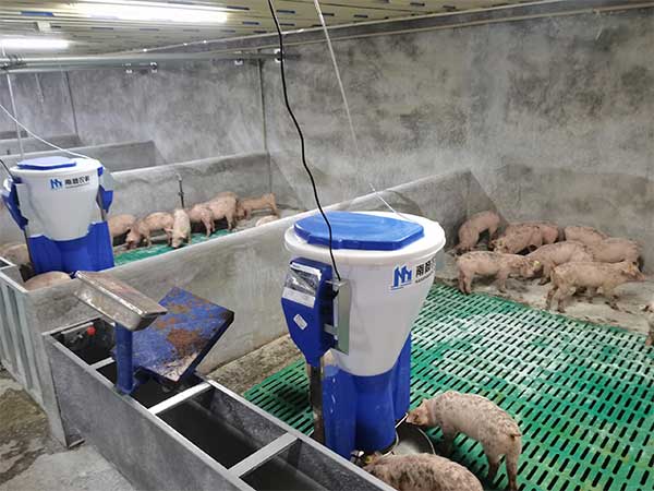 自動化養豬場設備都有哪些呢？