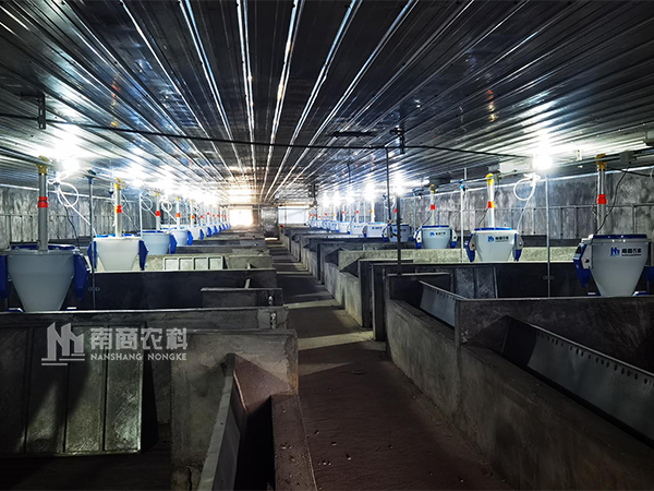 規?；F代化養豬設備的發展趨勢