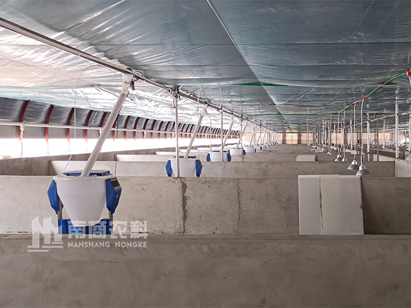 大型養豬場都是給仔豬選擇什么自動料槽呢？