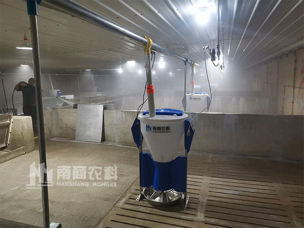 小智倌智能養(yǎng)豬設備|養(yǎng)豬節(jié)約飼料的“必殺技”