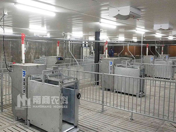 2022年農(nóng)牧數(shù)智生態(tài)發(fā)展論壇：養(yǎng)豬業(yè)如何再乘東風(fēng)揚帆起航？