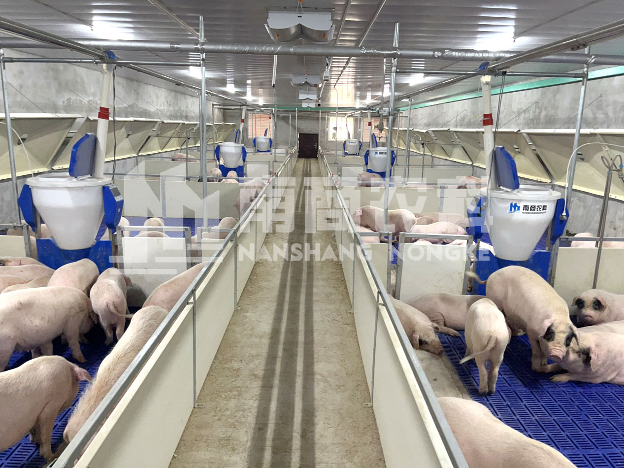 一部手機養(yǎng)好豬