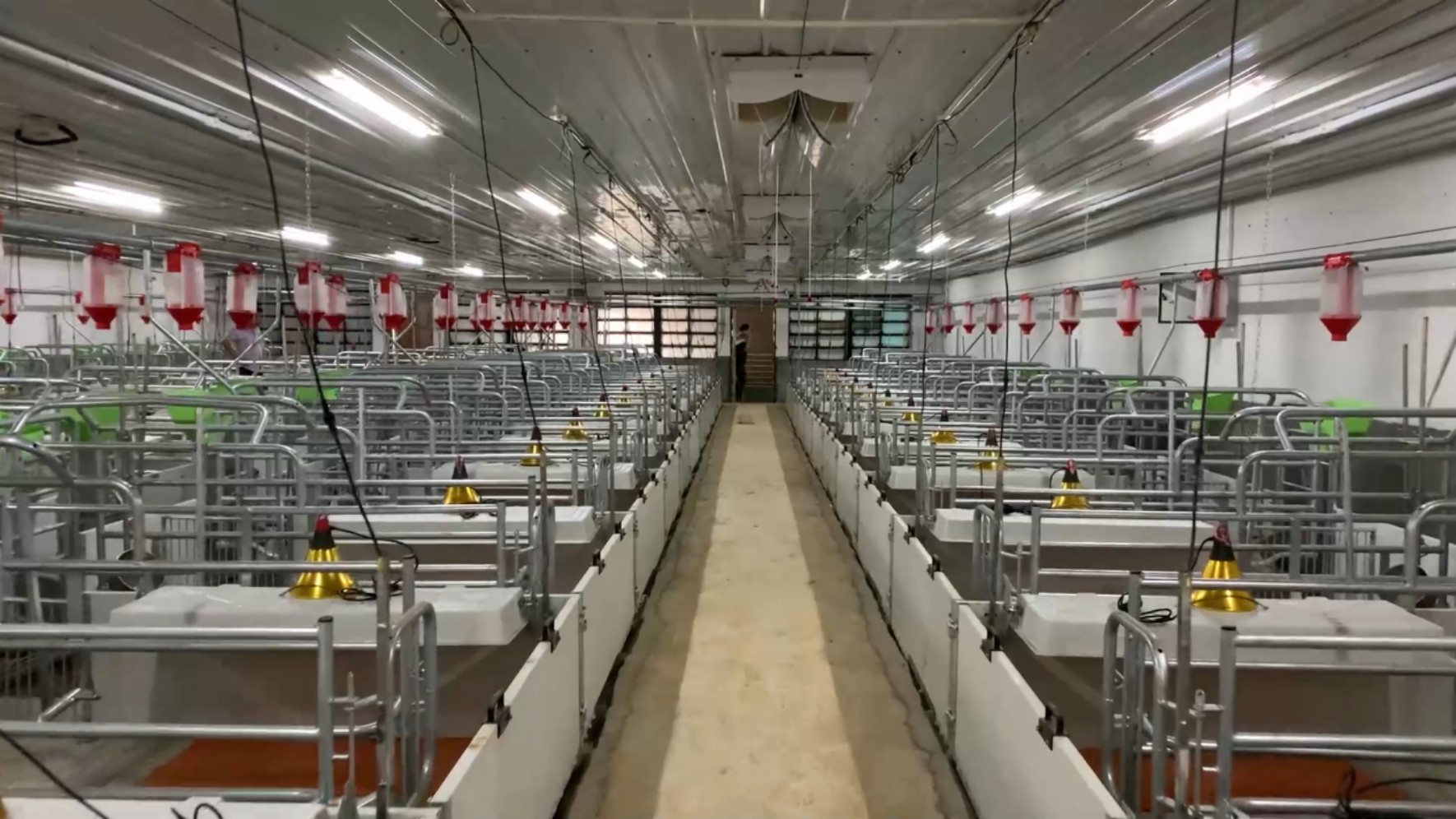 上圖為南商農科部分產床展示