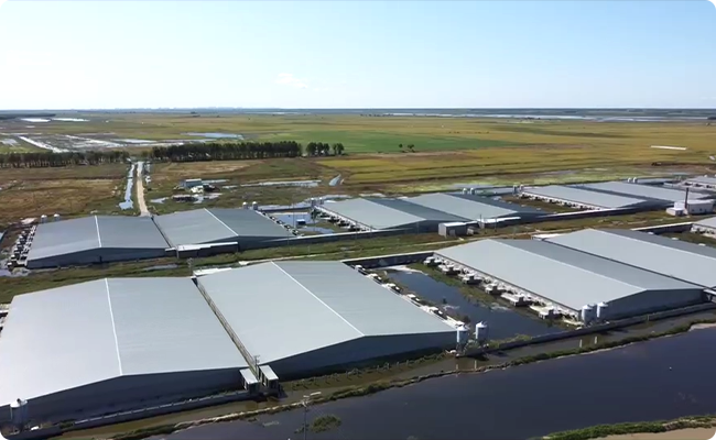 豬場(chǎng)項(xiàng)目EPC解決方案