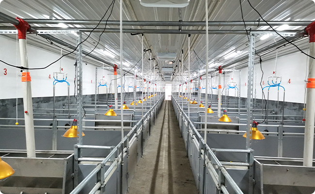 豬場(chǎng)設(shè)備EPC解決方案